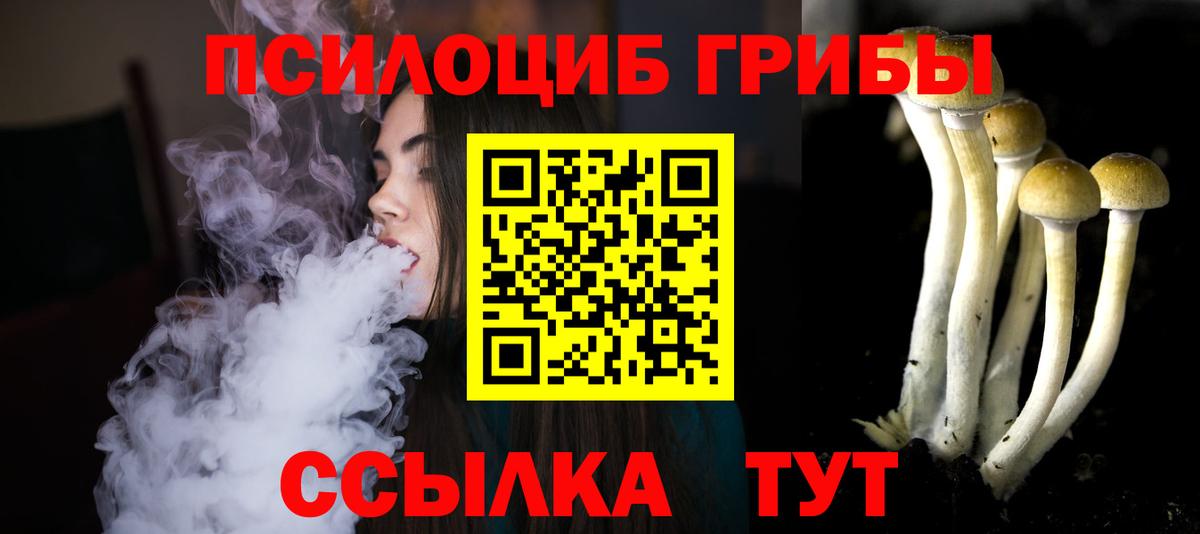 Кимры  Галлюциногенные грибы Magic Shrooms  Вход с VPN 